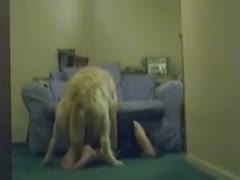 A little, legal-age adolescent with a huge booty takes off her long petticoat and accepts K9's gazoo and love tunnel licking.